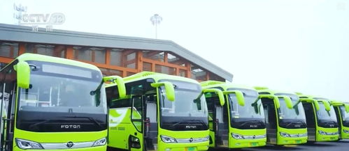 創(chuàng)新迭代、跨界融合與國(guó)際合作 中國(guó)新能源汽車(chē)產(chǎn)業(yè)海外投資勢(shì)頭強(qiáng)勁