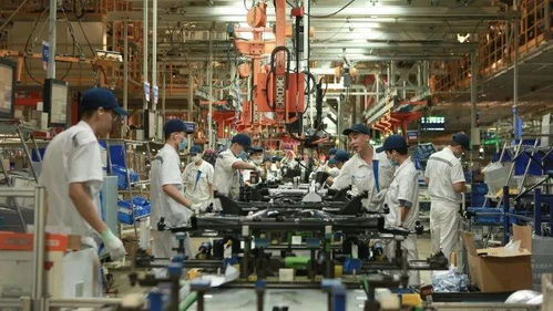 港珠澳大橋出入境客流破千萬(wàn) 大灣區(qū)互聯(lián)互通活力彰顯